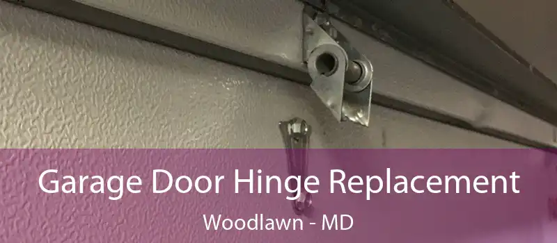  Garage Door Hinge Replacement Woodlawn - MD