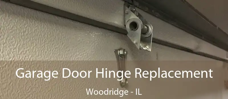  Garage Door Hinge Replacement Woodridge - IL
