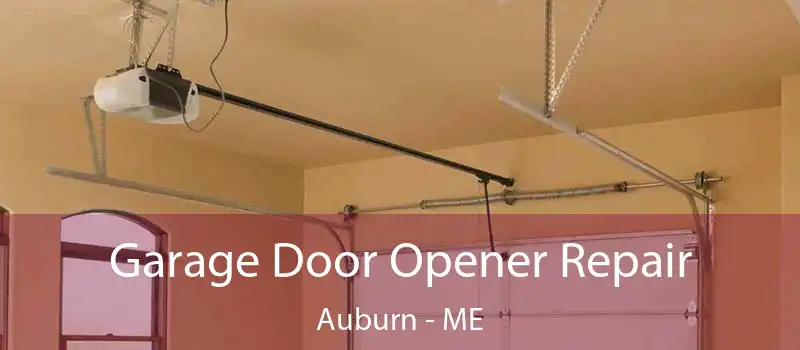  Garage Door Opener Repair Auburn - ME