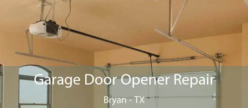  Garage Door Opener Repair Bryan - TX