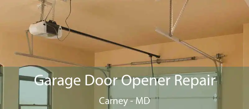 Garage Door Opener Repair Carney - MD