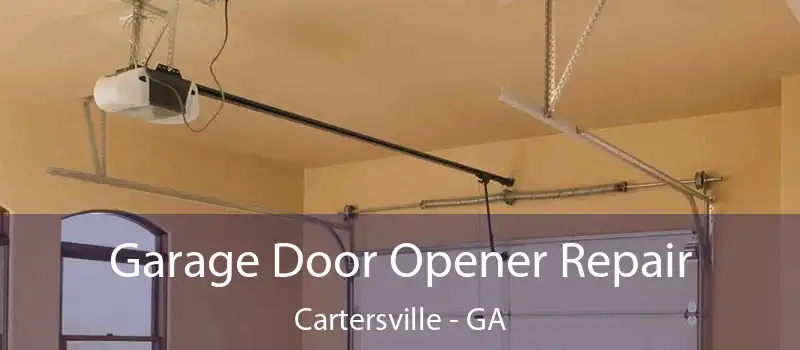  Garage Door Opener Repair Cartersville - GA