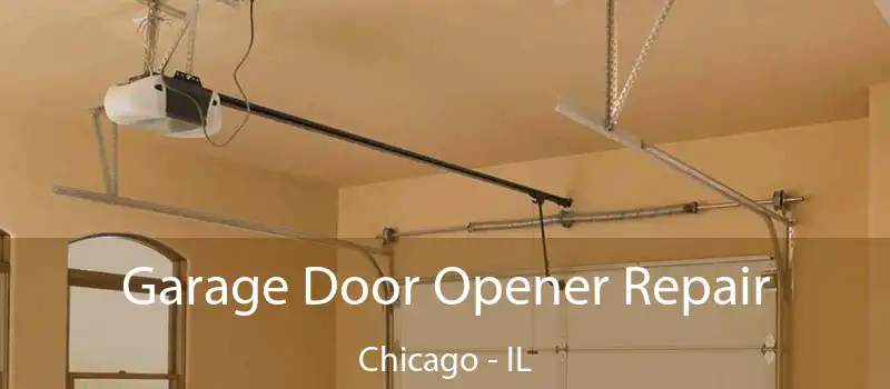 Garage Door Opener Repair Chicago - IL