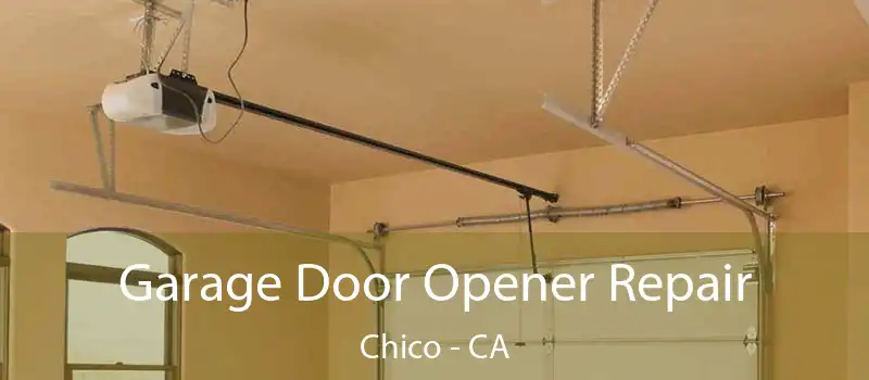  Garage Door Opener Repair Chico - CA