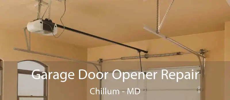  Garage Door Opener Repair Chillum - MD