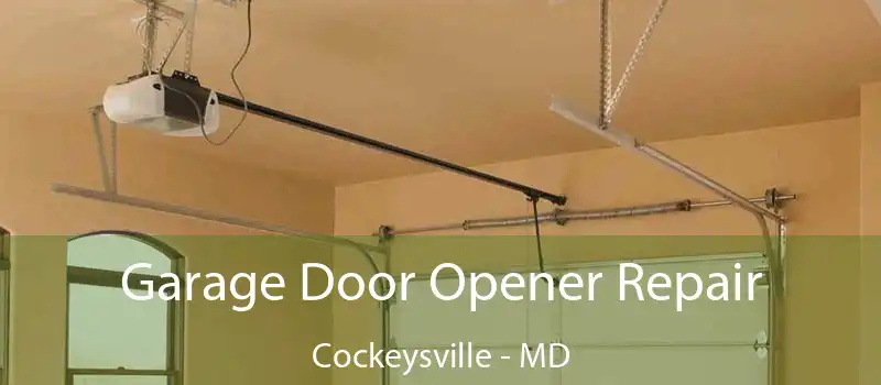  Garage Door Opener Repair Cockeysville - MD