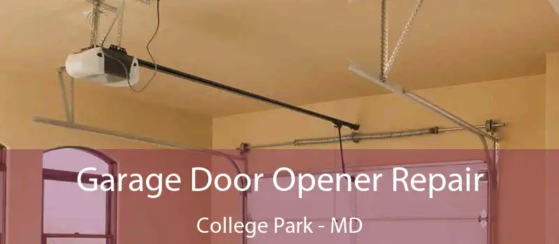 Garage Door Opener Repair College Park - MD