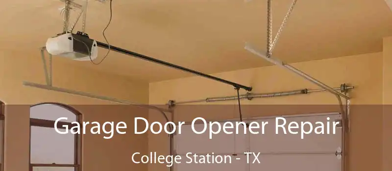  Garage Door Opener Repair College Station - TX
