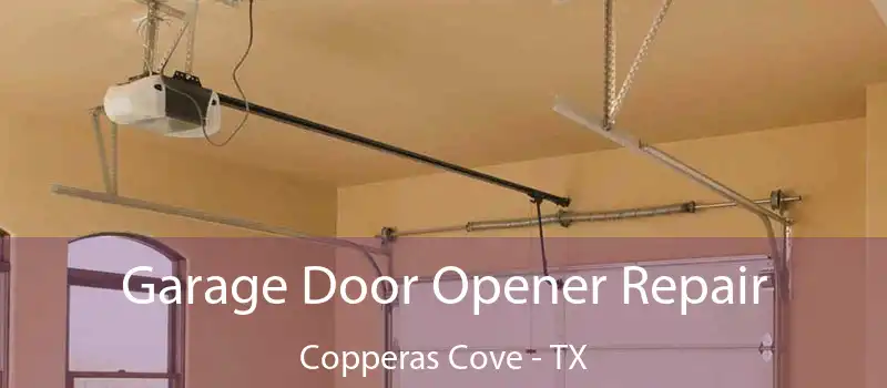  Garage Door Opener Repair Copperas Cove - TX