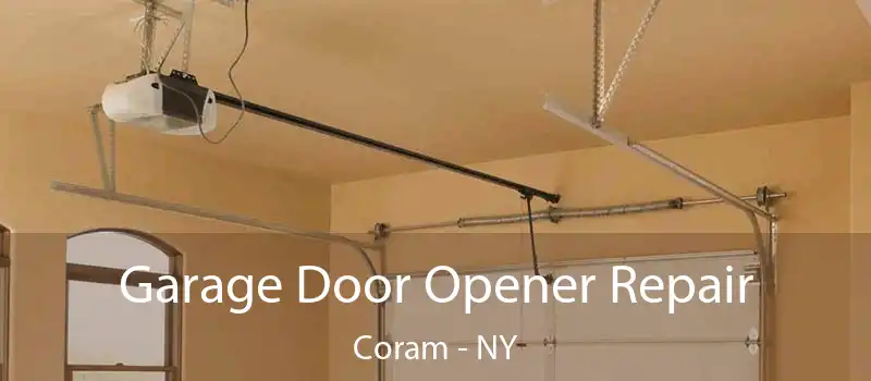  Garage Door Opener Repair Coram - NY