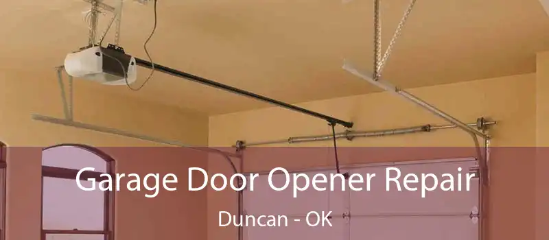  Garage Door Opener Repair Duncan - OK