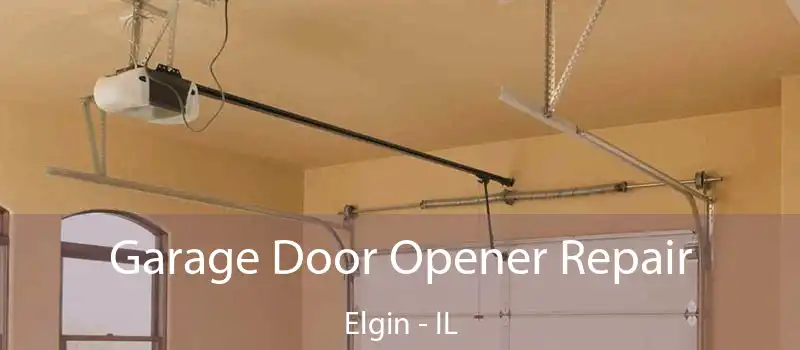 Garage Door Opener Repair Elgin - IL