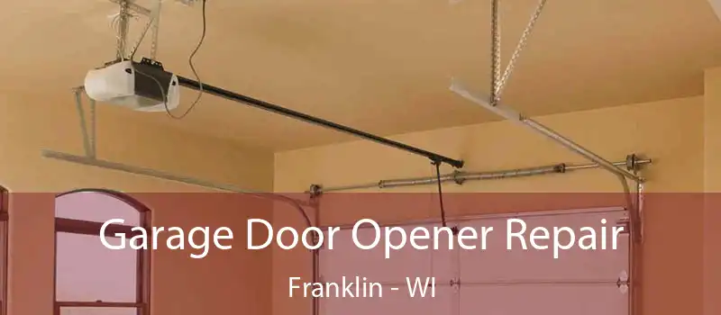  Garage Door Opener Repair Franklin - WI
