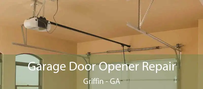  Garage Door Opener Repair Griffin - GA