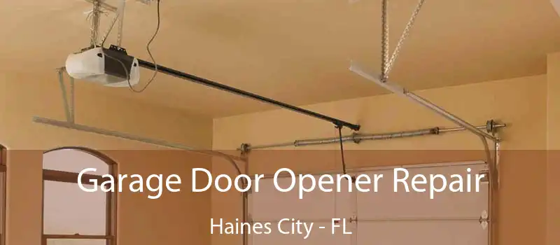  Garage Door Opener Repair Haines City - FL