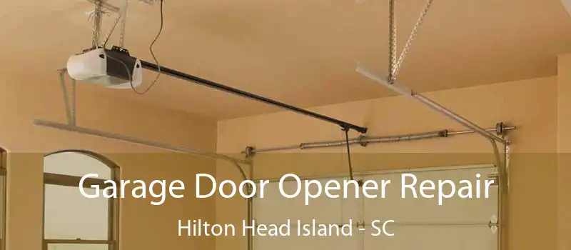  Garage Door Opener Repair Hilton Head Island - SC