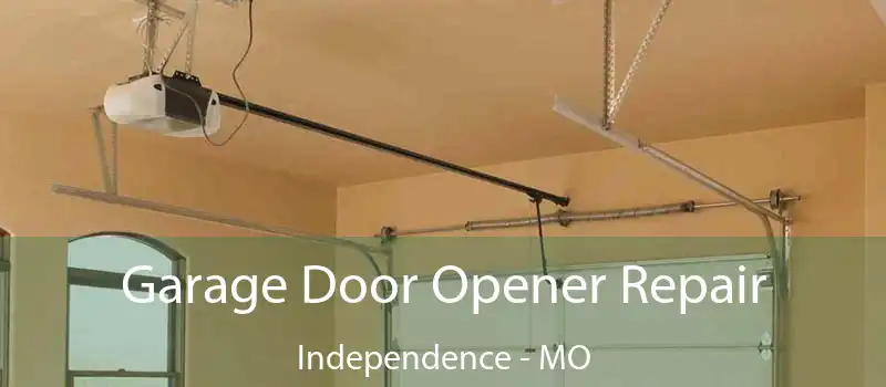  Garage Door Opener Repair Independence - MO
