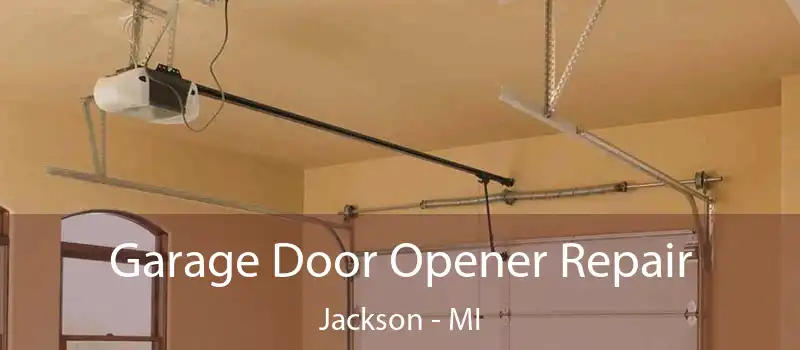  Garage Door Opener Repair Jackson - MI