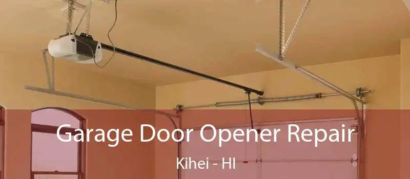  Garage Door Opener Repair Kihei - HI