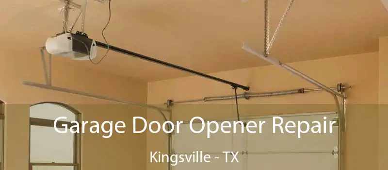  Garage Door Opener Repair Kingsville - TX