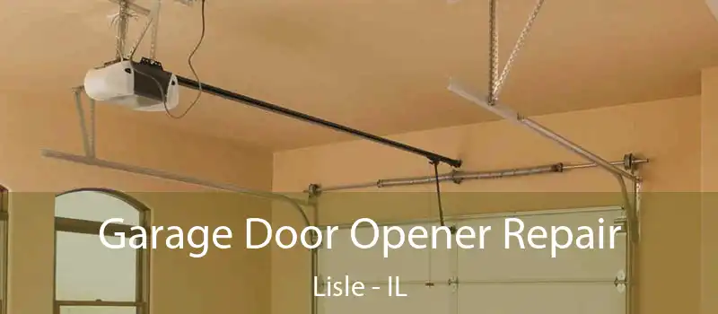  Garage Door Opener Repair Lisle - IL