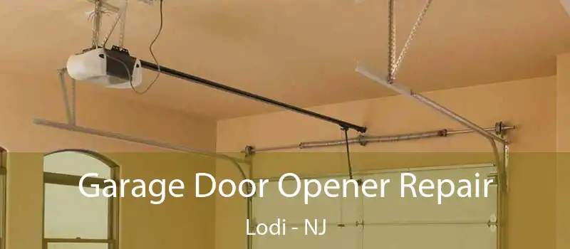  Garage Door Opener Repair Lodi - NJ