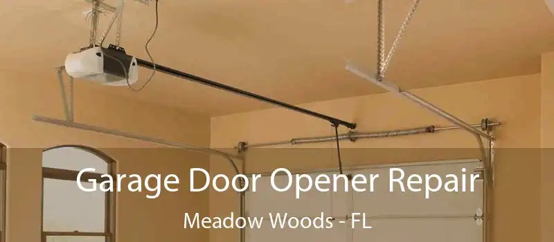  Garage Door Opener Repair Meadow Woods - FL
