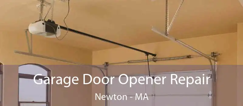  Garage Door Opener Repair Newton - MA
