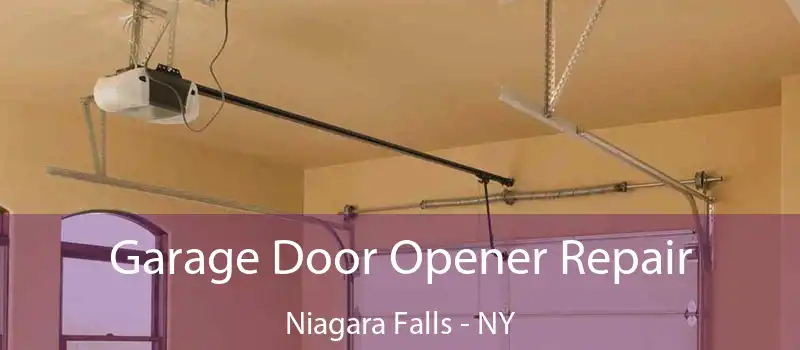  Garage Door Opener Repair Niagara Falls - NY