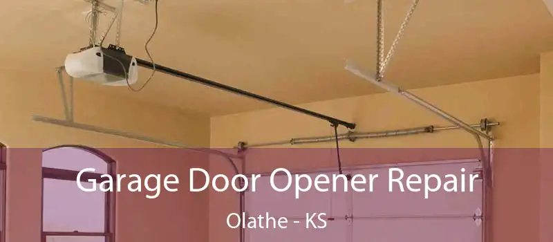 Garage Door Opener Repair Olathe - KS