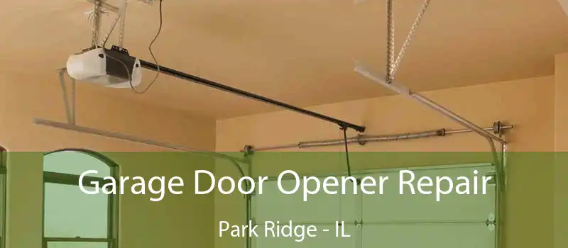Garage Door Opener Repair Park Ridge - IL
