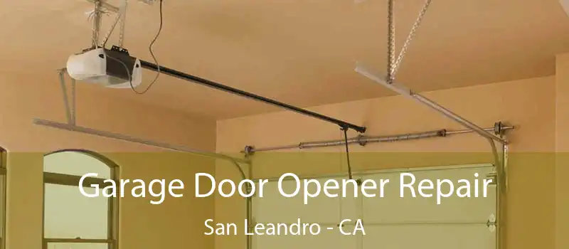 Garage Door Opener Repair San Leandro - CA