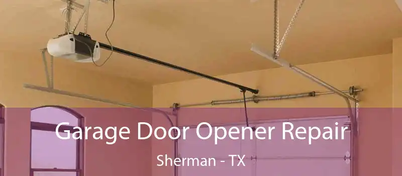  Garage Door Opener Repair Sherman - TX