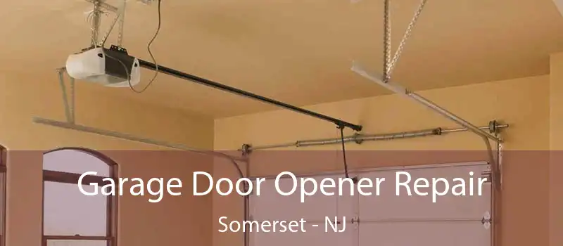 Garage Door Opener Repair Somerset - NJ