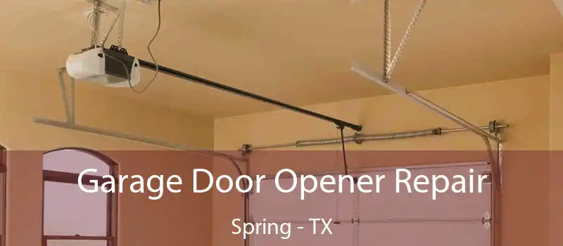  Garage Door Opener Repair Spring - TX
