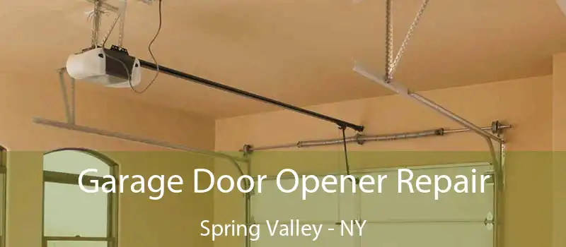  Garage Door Opener Repair Spring Valley - NY