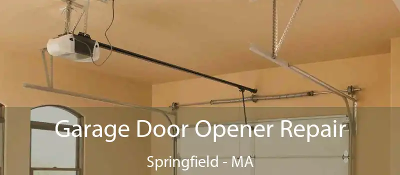  Garage Door Opener Repair Springfield - MA