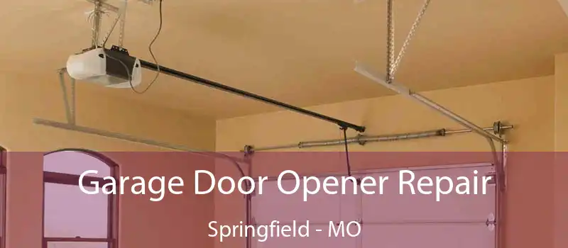  Garage Door Opener Repair Springfield - MO