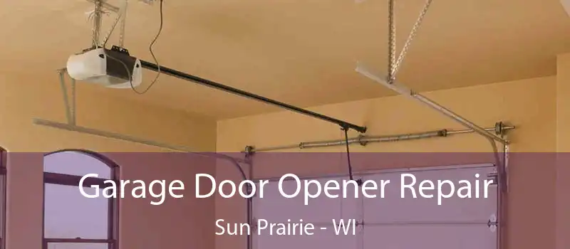 Garage Door Opener Repair Sun Prairie - WI