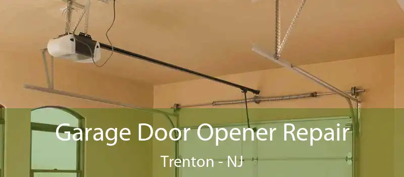  Garage Door Opener Repair Trenton - NJ