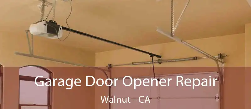  Garage Door Opener Repair Walnut - CA