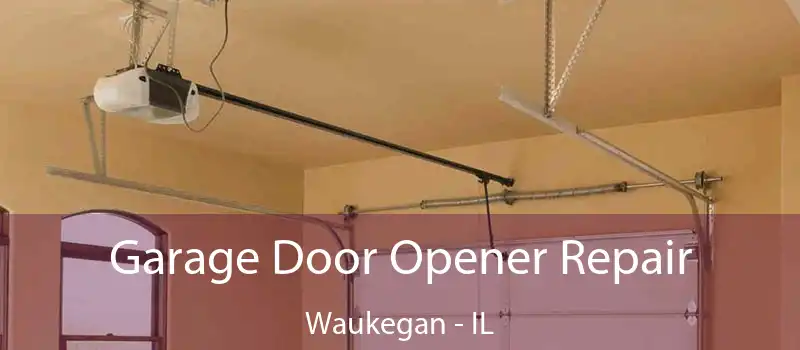 Garage Door Opener Repair Waukegan - IL