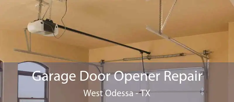  Garage Door Opener Repair West Odessa - TX