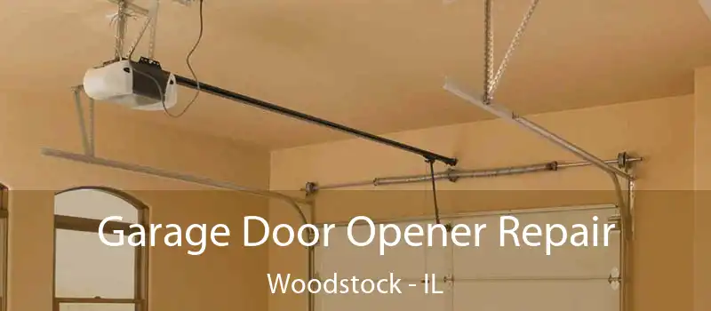 Garage Door Opener Repair Woodstock - IL