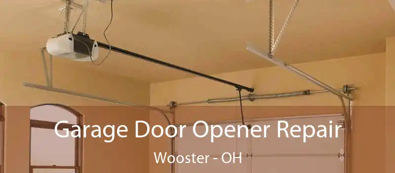  Garage Door Opener Repair Wooster - OH