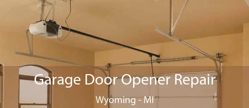 Garage Door Opener Repair Wyoming - MI