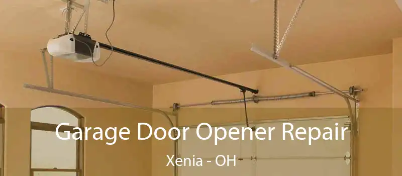  Garage Door Opener Repair Xenia - OH
