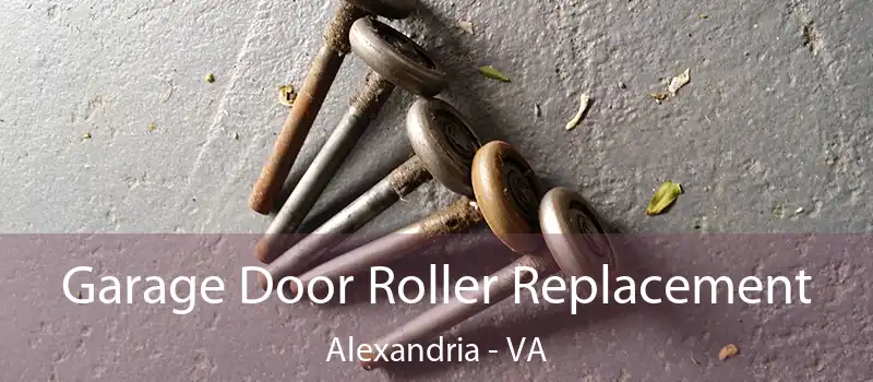  Garage Door Roller Replacement Alexandria - VA