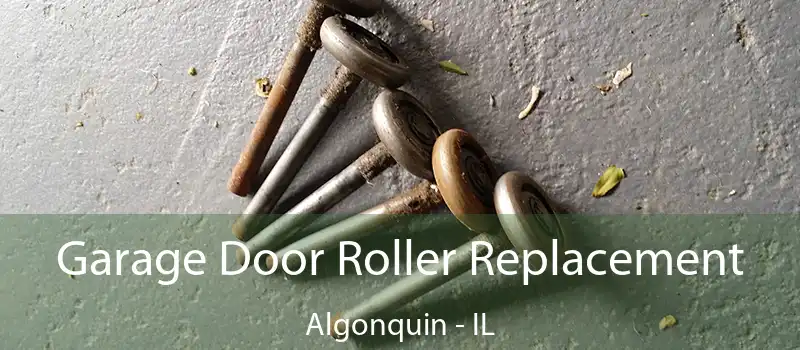  Garage Door Roller Replacement Algonquin - IL