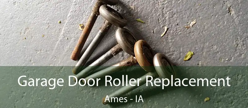  Garage Door Roller Replacement Ames - IA
